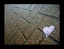 heart in street