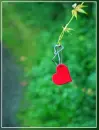 nature heart