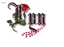 RED ROSE ~~ FOR LYN 