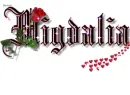 red rose ~~ for Migdalia