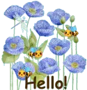 Hello!
