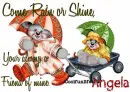 Angela, bears