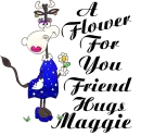 A FLOWER FOR YOU FRIEND/ HUGS MAGGIE