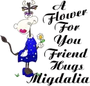 A FLOWER FOR YOU FRIEND/HUGS MIGDALIA