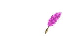 Cianna Feather Pen Pink