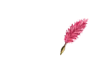 Grace Feather Pen Light Red