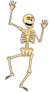 SKELETON