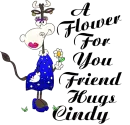 A FLOWER FOR YOU FRIEND/HUGS CINDY