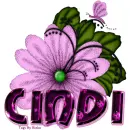 Cindi