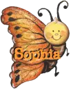 A little bit Beee  Sophia