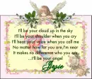 I'll be your angel-Jirzie