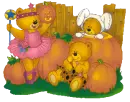 TEDDY BEARS