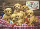 Dogs.