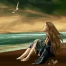 Seagull
