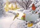 WINTER TIME