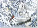 WINTER TIME