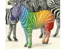 rainbow ;)