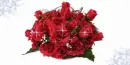 red rose