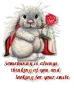 BUNNY