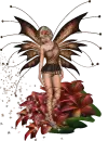 FAIRY