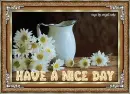 Have a nice day