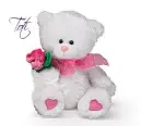 Toti