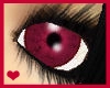 eye star