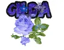 Blue ROSE,,,Gilda