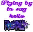 flying by to say hello RONI