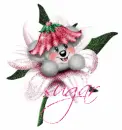 teddy bear with sugar
