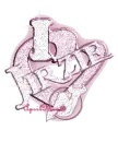 pink new jersey devils heart charm jirzie