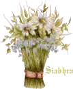 Forget-Me-Nots and Daisies - For Siabhra