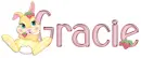 bunny gracie