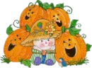 Fall Scarecrow & pumpkins