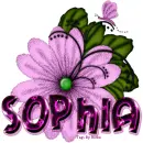 Sophia