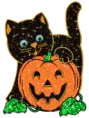 CAT WITH A PUMPKIN