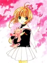 Sakura & Teddy