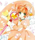 Sakura card captors