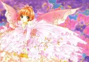 Sakura Butterfly