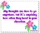 My thoughts...