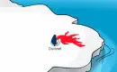 fire penguin