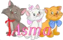 Asma with aristocats/ marie cat