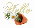 Hello