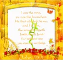 John 15:3
