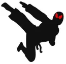 ninja 2