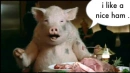 nice ham .