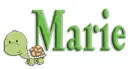 turtle marie