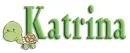 turtle katrina