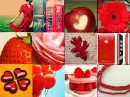 Roses Are Red;;