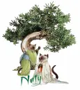 Naty